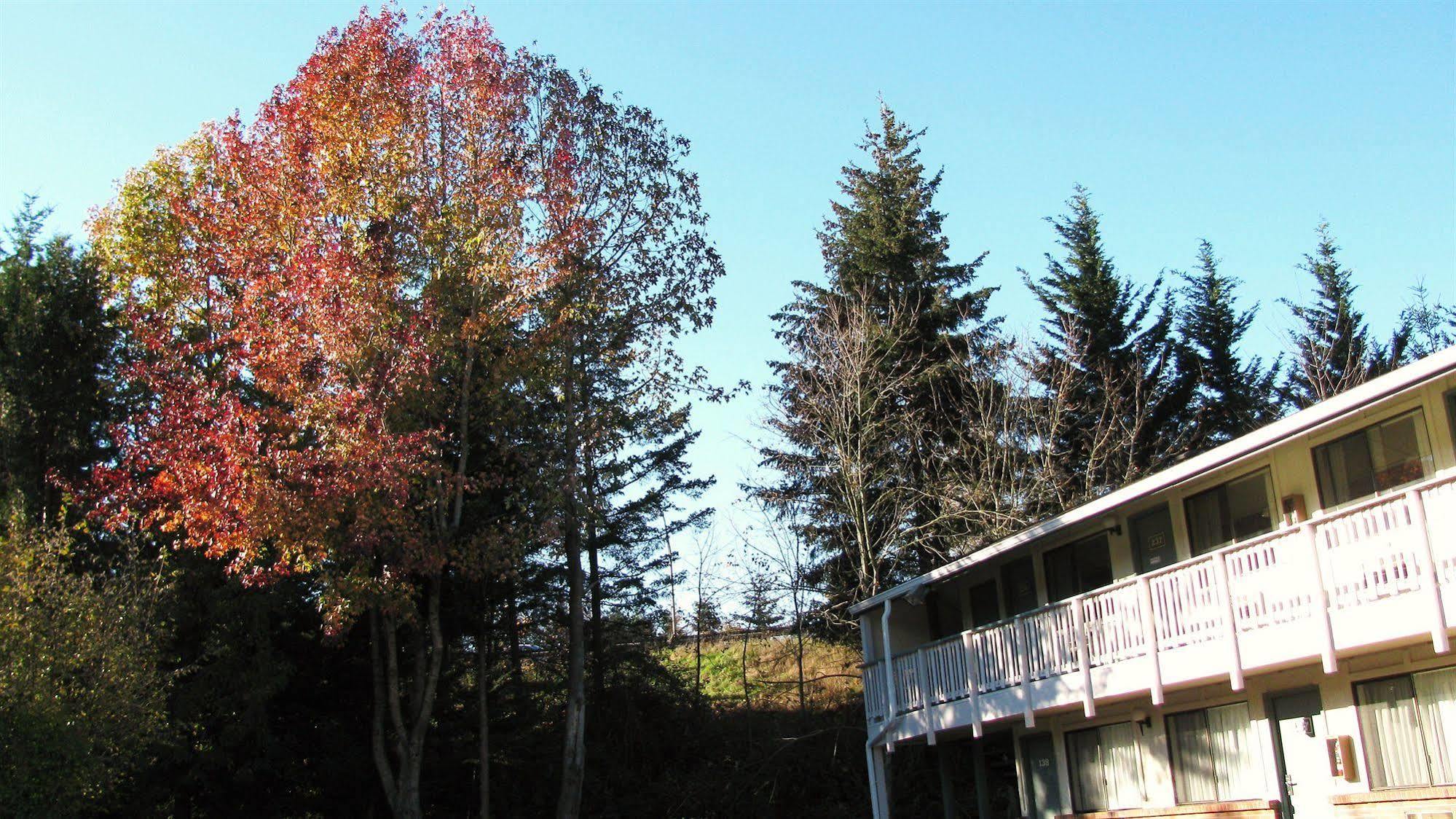 Motel Puyallup Bagian luar foto